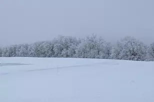 27196 Co Hwy 21, Detroit Lakes, MN 56501 - Photo 27