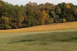 27196 Co Hwy 21, Detroit Lakes, MN 56501 - Photo 65