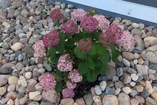 27196 Co Hwy 21, Detroit Lakes, MN 56501 - Photo 67