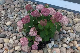 27196 Co Hwy 21, Detroit Lakes, MN 56501 - Photo 67