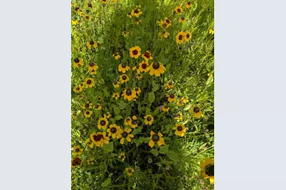 27196 Co Hwy 21, Detroit Lakes, MN 56501 - Photo 71