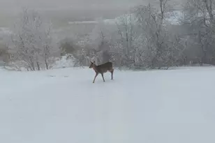 27196 Co Hwy 21, Detroit Lakes, MN 56501 - Photo 27