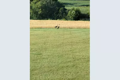 27196 Co Hwy 21, Detroit Lakes, MN 56501 - Photo 69