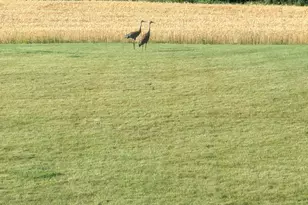 27196 Co Hwy 21, Detroit Lakes, MN 56501 - Photo 69