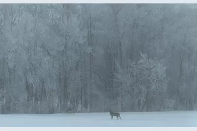 27196 Co Hwy 21, Detroit Lakes, MN 56501 - Photo 31