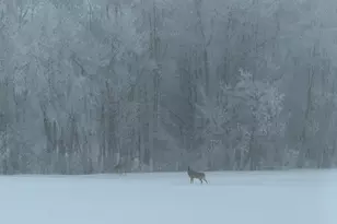 27196 Co Hwy 21, Detroit Lakes, MN 56501 - Photo 31