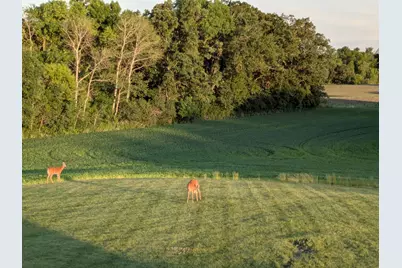 27196 Co Hwy 21, Detroit Lakes, MN 56501 - Photo 49