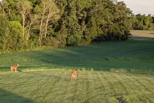 27196 Co Hwy 21, Detroit Lakes, MN 56501 - Photo 49