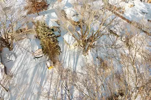 2194 Maryland Ave E, Saint Paul, MN 55119 - Photo 27