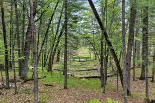 28450 3 Mile Rd, Danbury, WI 54830 - Photo 51