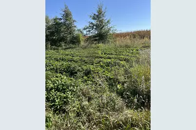 37358 385th Avenue, Sauk Centre Township, MN 56378 - Photo 81