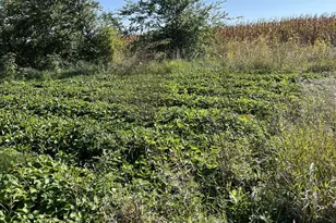 37358 385th Ave, Sauk Centre Township, MN 56378 - Photo 81