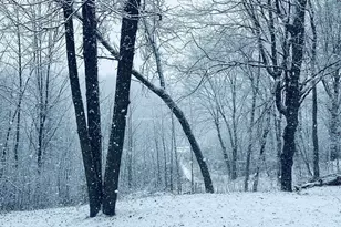 2473 27 1/2 St, Rice Lake, WI 54868 - Photo 3