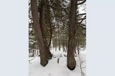 Xx10 Lavaque Road, Duluth, MN 55802 - Photo 9