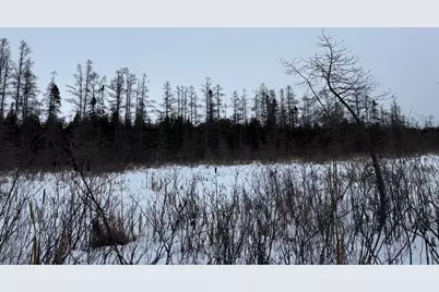 Xx40 Lavaque Road, Duluth, MN 55802 - Photo 9