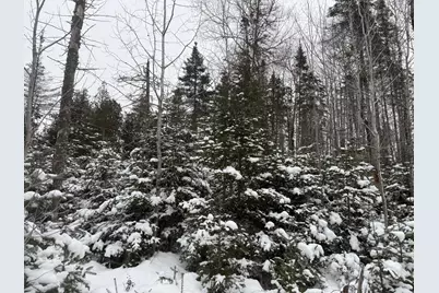 Xx40 Lavaque Road, Duluth, MN 55802 - Photo 19