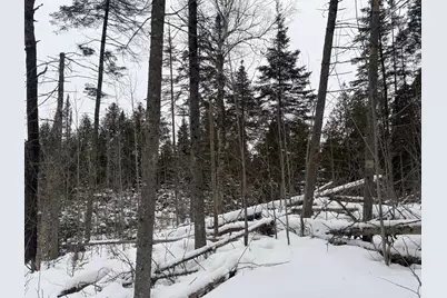 Xx40 Lavaque Road, Duluth, MN 55802 - Photo 17