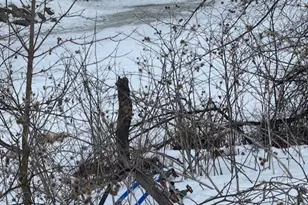 17760 78th St SE, Wahpeton,  58075 - Photo 39