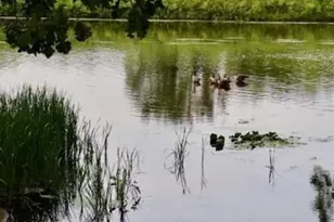 18663 Ogden Cir NW, Elk River, MN 55330 - Photo 67