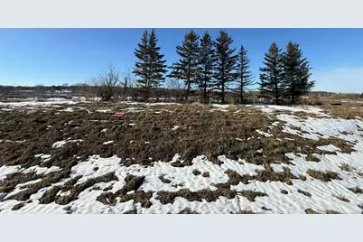 8292 Cabot Avenue, Medford, MN 55049 - Photo 3