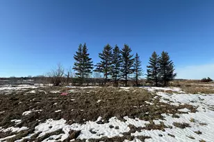 8292 Cabot Ave, Medford, MN 55049 - Photo 1