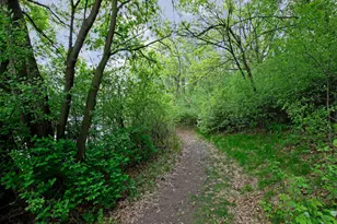 4834 Steeplechase Cir, Eagan, MN 55122 - Photo 63