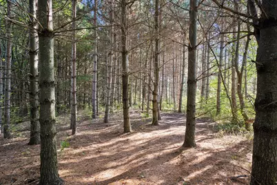 30667 Melanie Way, Saint Joseph, MN 56374 - Photo 85