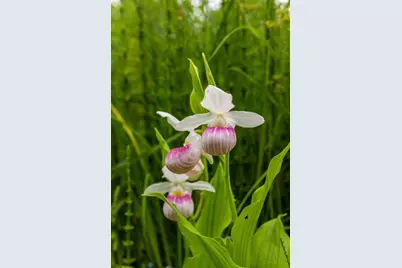 15 Upton Avenue S, Minneapolis, MN 55405 - Photo 65