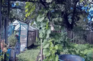 34 S Terrace N, Fargo, ND 58102 - Photo 53