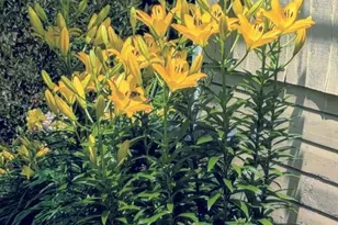 34 S Terrace N, Fargo, ND 58102 - Photo 59