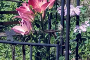 34 S Terrace N, Fargo, ND 58102 - Photo 57