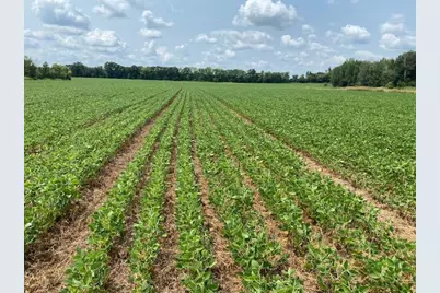 Tbd 160th St., Foreston, MN 56330 - Photo 1