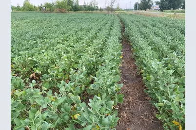 Tbd 160th St., Foreston, MN 56330 - Photo 3