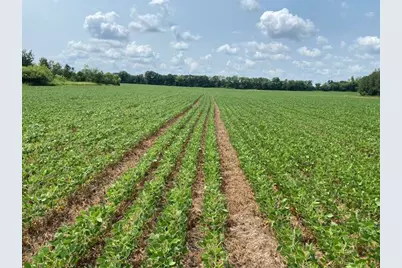 Tbd 160th St., Foreston, MN 56330 - Photo 5