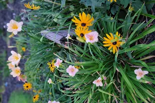 6789 401st St, North Branch, MN 55056 - Photo 39