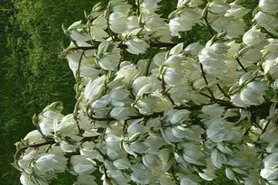 6789 401st St, North Branch, MN 55056 - Photo 37