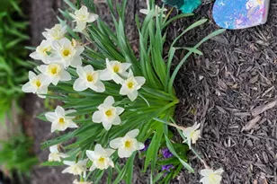 6789 401st St, North Branch, MN 55056 - Photo 41