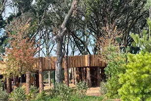 8846 147th Ave NW, Ramsey, MN 55303 - Photo 31