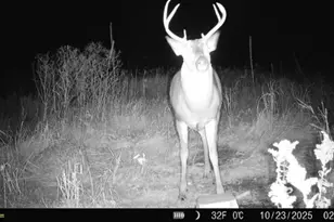 14379 Chestnut Rd, Milaca, MN 56353 - Photo 47