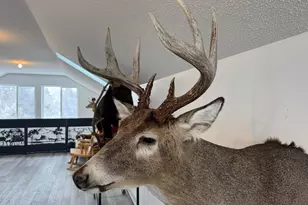 14379 Chestnut Rd, Milaca, MN 56353 - Photo 31