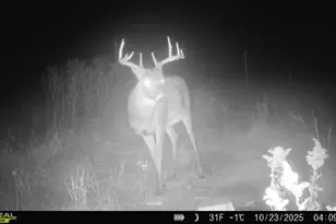 14379 Chestnut Rd, Milaca, MN 56353 - Photo 23