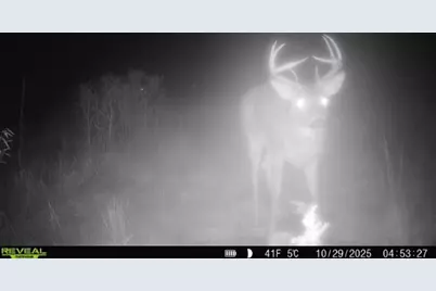 14379 Chestnut Road, Milaca, MN 56353 - Photo 43