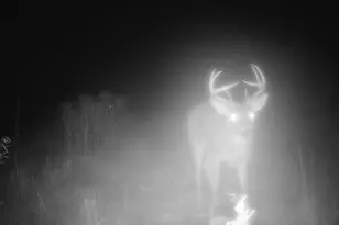 14379 Chestnut Rd, Milaca, MN 56353 - Photo 43