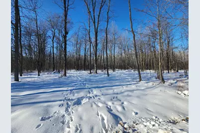 Xxxx 175th, Onamia, MN 56353 - Photo 1