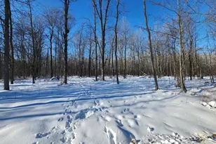 Xxxx 175th, Onamia, MN 56353 - Photo 1