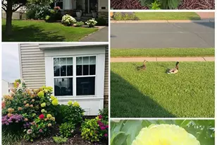 2105 Pembina Ln, Shakopee, MN 55379 - Photo 57