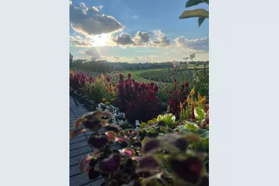 1207 Adrian Drive, Chaska, MN 55318 - Photo 5