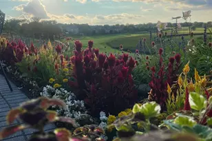 1207 Adrian Dr, Chaska, MN 55318 - Photo 5