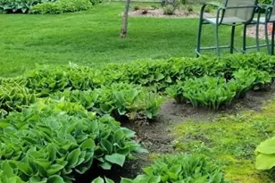 8020 122nd Ln N, Champlin, MN 55316 - Photo 21