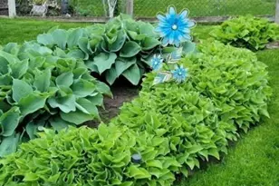 8020 122nd Ln N, Champlin, MN 55316 - Photo 31